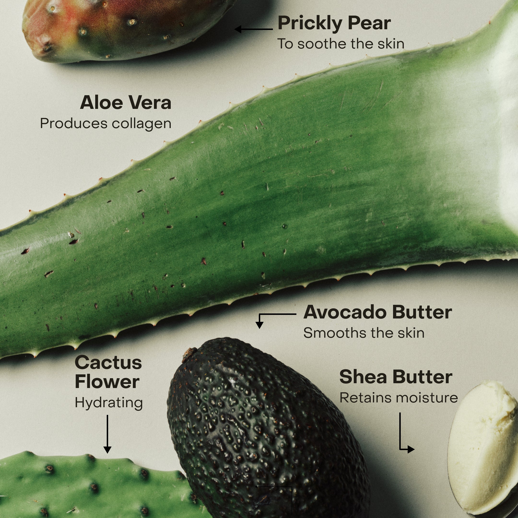 Sidia - The WIRED Body Exfoliant