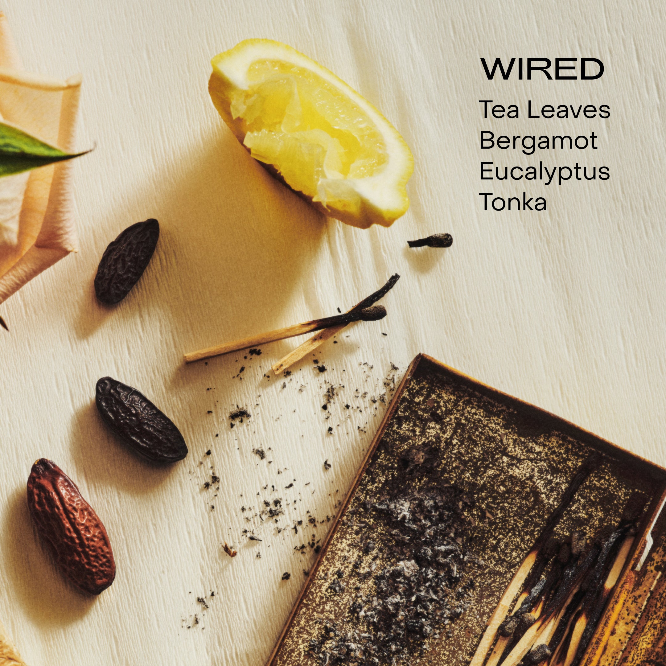 Sidia - The WIRED Body Exfoliant