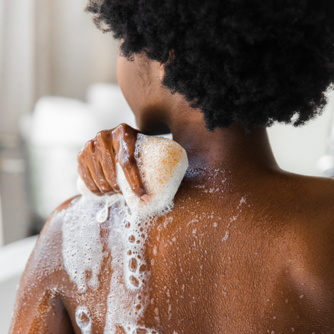 Konjac Walnut Shell Exfoliating Body Sponge